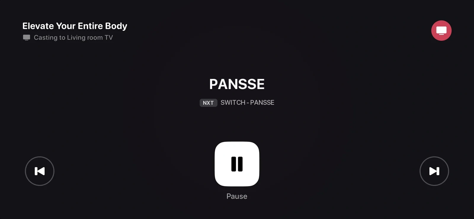 The phone acting as a remote while casting to the TV